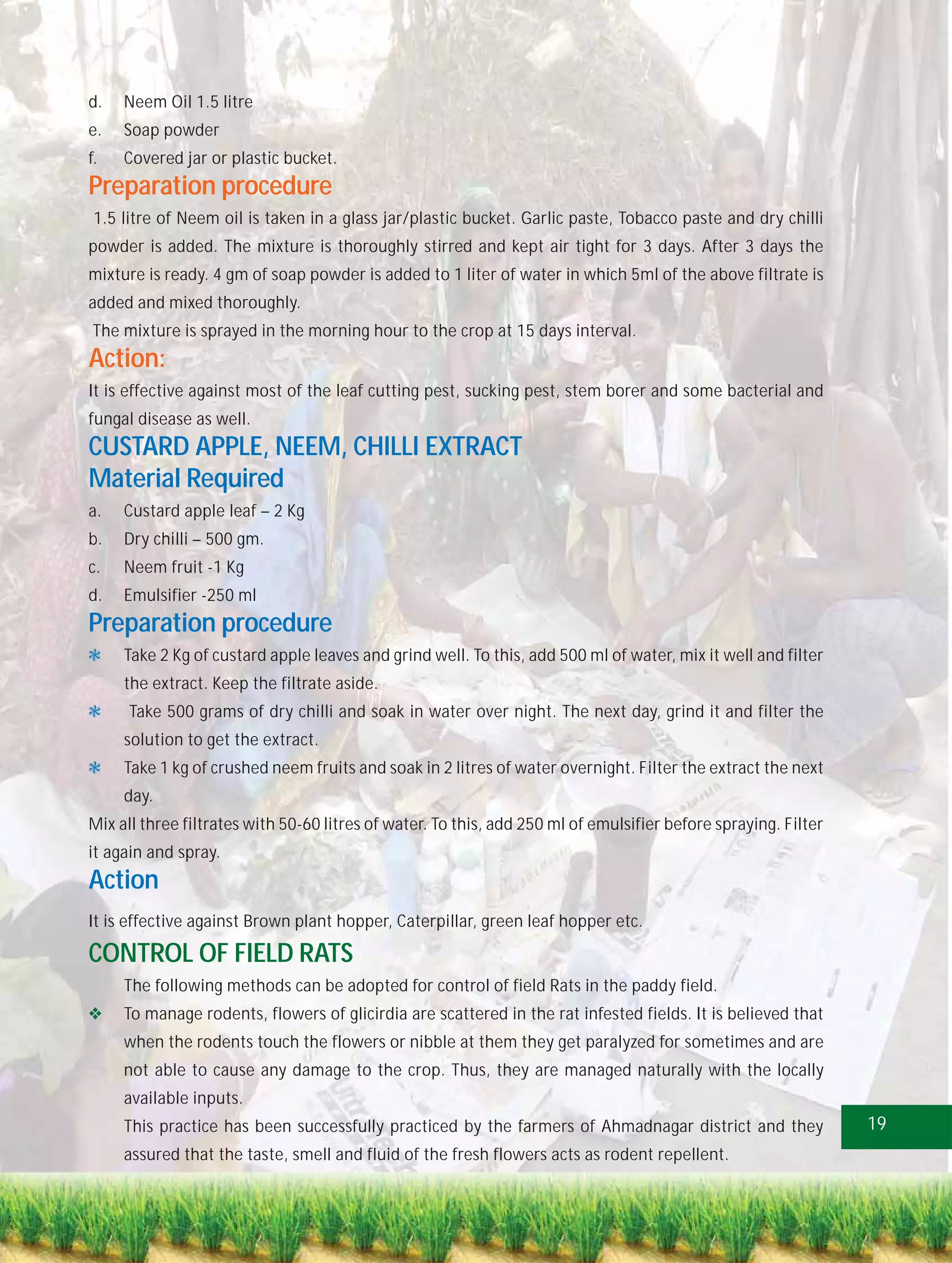 d.   Neem Oil 1.5 litre
e.   Soap powder
f.   Covered jar or plastic bucket.
Preparation procedure
 1.5 litre of Neem oil is taken in a glass jar/plastic bucket. Garlic paste, Tobacco paste and dry chilli
powder is added. The mixture is thoroughly stirred and kept air tight for 3 days. After 3 days the
mixture is ready. 4 gm of soap powder is added to 1 liter of water in which 5ml of the above filtrate is
added and mixed thoroughly.
The mixture is sprayed in the morning hour to the crop at 15 days interval.
Action:
It is effective against most of the leaf cutting pest, sucking pest, stem borer and some bacterial and
fungal disease as well.
CUSTARD APPLE, NEEM, CHILLI EXTRACT
Material Required
a.   Custard apple leaf – 2 Kg
b.   Dry chilli – 500 gm.
c.   Neem fruit -1 Kg
d.   Emulsifier -250 ml
Preparation procedure
     Take 2 Kg of custard apple leaves and grind well. To this, add 500 ml of water, mix it well and filter
     the extract. Keep the filtrate aside.
      Take 500 grams of dry chilli and soak in water over night. The next day, grind it and filter the
     solution to get the extract.
     Take 1 kg of crushed neem fruits and soak in 2 litres of water overnight. Filter the extract the next
     day.
Mix all three filtrates with 50-60 litres of water. To this, add 250 ml of emulsifier before spraying. Filter
it again and spray.
Action
It is effective against Brown plant hopper, Caterpillar, green leaf hopper etc.

CONTROL OF FIELD RATS
     The following methods can be adopted for control of field Rats in the paddy field.
     To manage rodents, flowers of glicirdia are scattered in the rat infested fields. It is believed that
     when the rodents touch the flowers or nibble at them they get paralyzed for sometimes and are
     not able to cause any damage to the crop. Thus, they are managed naturally with the locally
     available inputs.
     This practice has been successfully practiced by the farmers of Ahmadnagar district and they               19
     assured that the taste, smell and fluid of the fresh flowers acts as rodent repellent.
 