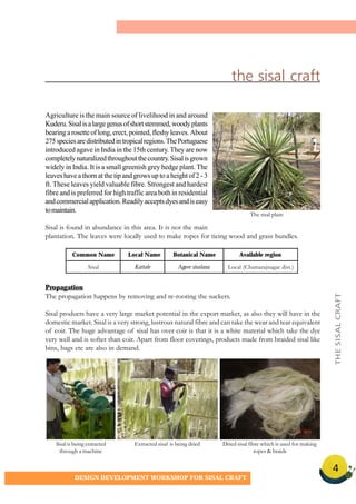 4
DESIGN DEVELOPMENT WORKSHOP FOR SISAL CRAFT
Agriculture is the main source of livelihood in and around
Kuderu.Sisalisalargegenusofshortstemmed,woodyplants
bearing a rosette of long, erect, pointed, fleshy leaves. About
275speciesaredistributedintropicalregions.ThePortuguese
introduced agave in India in the 15th century. They are now
completelynaturalizedthroughoutthecountry.Sisalisgrown
widely in India. It is a small greenish grey hedge plant. The
leaves have a thorn at the tip and grows up to a height of 2 - 3
ft. These leaves yield valuable fibre. Strongest and hardest
fibre and is preferred for high traffic area both in residential
andcommercialapplication.Readilyacceptsdyesandiseasy
tomaintain.
Sisal is found in abundance in this area. It is not the main
plantation. The leaves were locally used to make ropes for tieing wood and grass bundles.
Propagation
The propagation happens by removing and re-rooting the suckers.
Sisal products have a very large market potential in the export market, as also they will have in the
domestic market. Sisal is a very strong, lustrous natural fibre and can take the wear and tear equivalent
of coir. The huge advantage of sisal has over coir is that it is a white material which take the dye
very well and is softer than coir. Apart from floor coverings, products made from braided sisal like
bins, bags etc are also in demand.
the sisal craft
Sisal is being extracted
through a machine
Extracted sisal is being dried Dried sisal fibre which is used for making
ropes & braids
The sisal plant
THESISALCRAFT
Common Name Local Name Botanical Name Available region
Sisal Kattale Agave sisalana Local (Chamarajnagar dist.)
 