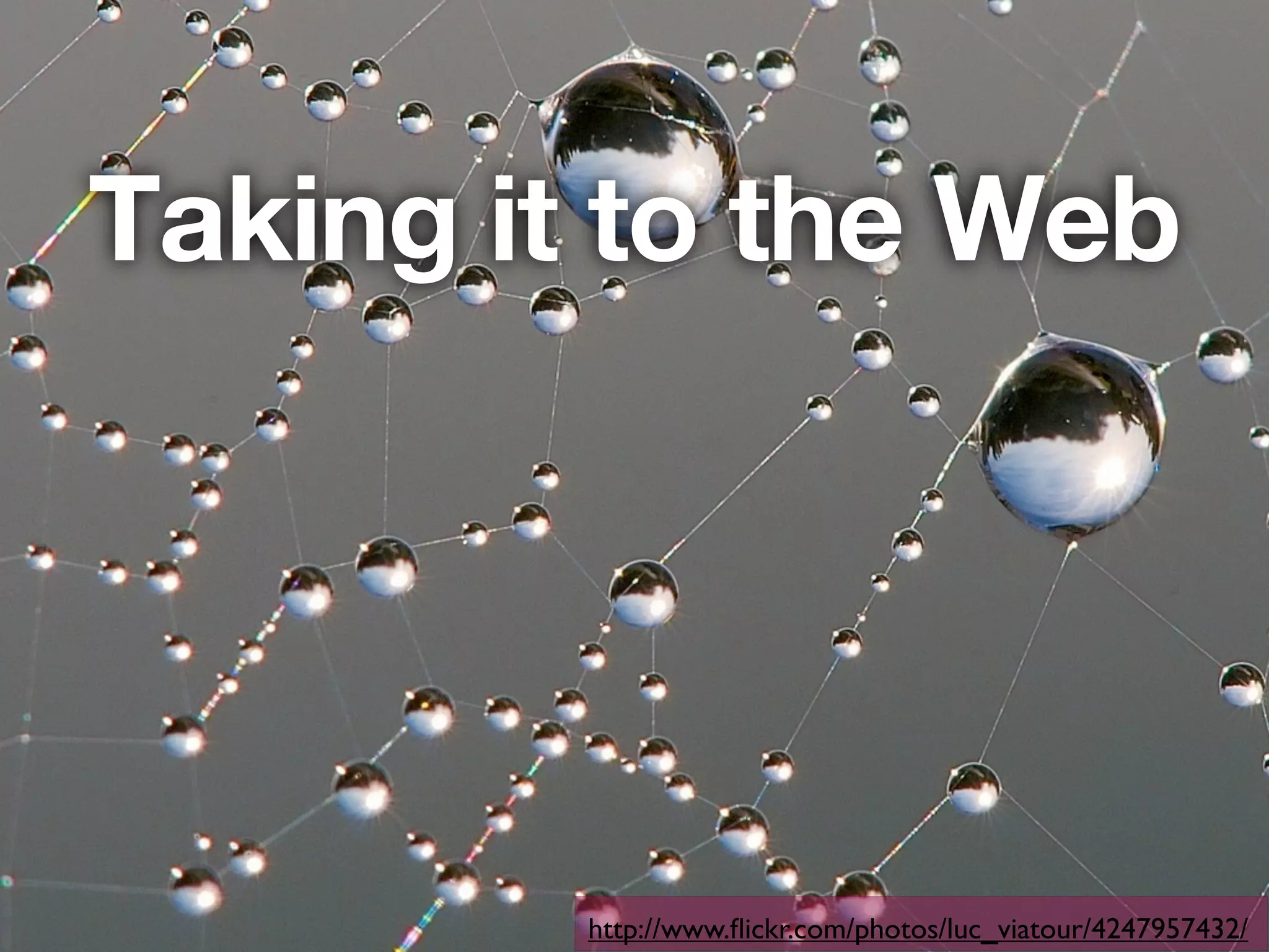 Taking it to the Web




         http://www.ﬂickr.com/photos/luc_viatour/4247957432/
 