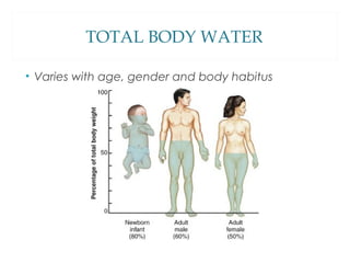 TOTAL BODY WATER
• Varies with age, gender and body habitus
 