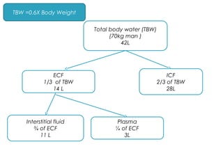 Total body water (TBW)
(70kg man )
42L
ECF
1/3 of TBW
14 L
ICF
2/3 of TBW
28L
Interstitial fluid
¾ of ECF
11 L
Plasma
¼ of ECF
3L
TBW =0.6X Body Weight
 