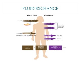 FLUID EXCHANGE
 