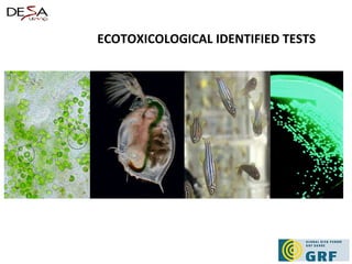 ECOTOXICOLOGICAL IDENTIFIED TESTS 