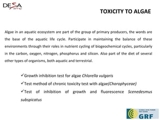Algae in an aquatic ecosystem are part of the group of primary producers, the words are the base of the aquatic life cycle. Participate in maintaining the balance of these environments through their roles in nutrient cycling of biogeochemical cycles, particularly in the carbon, oxygen, nitrogen, phosphorus and silicon. Also part of the diet of several other types of organisms, both aquatic and terrestrial. Growth inhibition test for algae  Chlorella vulgaris Test method of chronic toxicity test with algae (Chorophyceae) Test of inhibition of growth and fluorescence  Scenedesmus subspicatus TOXICITY TO ALGAE 