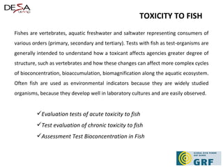 Fishes are vertebrates, aquatic freshwater and saltwater representing consumers of various orders (primary, secondary and tertiary). Tests with fish as test-organisms are generally intended to understand how a toxicant affects agencies greater degree of structure, such as vertebrates and how these changes can affect more complex cycles of bioconcentration, bioaccumulation, biomagnification along the aquatic ecosystem. Often fish are used as environmental indicators because they are widely studied organisms, because they develop well in laboratory cultures and are easily observed. Evaluation tests of acute toxicity to fish Test evaluation of chronic toxicity to fish Assessment Test Bioconcentration in Fish TOXICITY TO FISH 