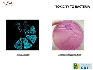 TOXICITY TO BACTERIA Vibrio fischeri Salmonella typhimurium 