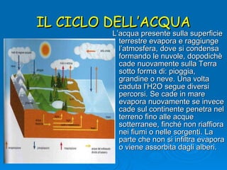 IL CICLO DELL’ACQUA L’acqua presente sulla superficie terrestre evapora e raggiunge l’atmosfera, dove si condensa formando le nuvole, dopodichè cade nuovamente sulla Terra sotto forma di: pioggia, grandine o neve. Una volta caduta l’H2O segue diversi percorsi. Se cade in mare evapora nuovamente se invece cade sul continente penetra nel terreno fino alle acque sotterranee, finché non riaffiora nei fiumi o nelle sorgenti. La parte che non si infiltra evapora o viene assorbita dagli alberi.  