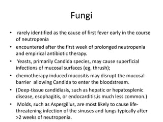 Fungi
• rarely identified as the cause of first fever early in the course
of neutropenia
• encountered after the first week of prolonged neutropenia
and empirical antibiotic therapy.
• Yeasts, primarily Candida species, may cause superficial
infections of mucosal surfaces (eg, thrush);
• chemotherapy induced mucositis may disrupt the mucosal
barrier allowing Candida to enter the bloodstream.
• (Deep-tissue candidiasis, such as hepatic or hepatosplenic
disease, esophagitis, or endocarditis,is much less common.)
• Molds, such as Aspergillus, are most likely to cause life-
threatening infection of the sinuses and lungs typically after
>2 weeks of neutropenia.
 