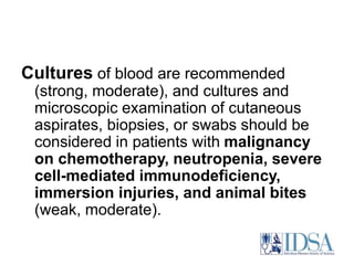 Cultures of blood are recommended 
(strong, moderate), and cultures and 
microscopic examination of cutaneous 
aspirates, biopsies, or swabs should be 
considered in patients with malignancy 
on chemotherapy, neutropenia, severe 
cell-mediated immunodeficiency, 
immersion injuries, and animal bites 
(weak, moderate). 
 