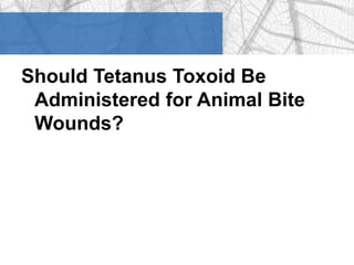 Should Tetanus Toxoid Be 
Administered for Animal Bite 
Wounds? 
 