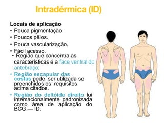 Intradérmica (ID)
Locais de aplicação
• Pouca pigmentação.
• Poucos pêlos.
• Pouca vascularização.
• Fácil acesso.
• Região que concentra as
características é a face ventral do
antebraço;
• Região escapular das
costas pode ser utilizada se
preenchidos os requisitos
acima citados.
• Região do deltóide direito foi
intemacionalmente padronizada
como área de aplicação do
BCG — ID.
 