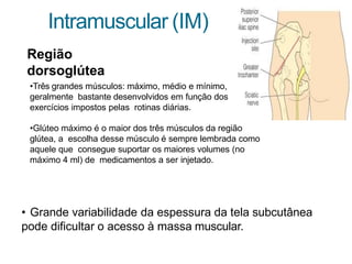 Intramuscular (IM)
Região
dorsoglútea
•Três grandes músculos: máximo, médio e mínimo,
geralmente bastante desenvolvidos em função dos
exercícios impostos pelas rotinas diárias.
•Glúteo máximo é o maior dos três músculos da região
glútea, a escolha desse músculo é sempre lembrada como
aquele que consegue suportar os maiores volumes (no
máximo 4 ml) de medicamentos a ser injetado.
• Grande variabilidade da espessura da tela subcutânea
pode dificultar o acesso à massa muscular.
 