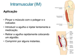 Intramuscular (IM)
Aplicação
• Pinçar o músculo com o polegar e o
indicador.
• Introduzir a agulha e injetar lentamente a
medicação.
• Retirar a agulha rapidamente colocando
um algodão.
• Comprimir por alguns instantes.
 