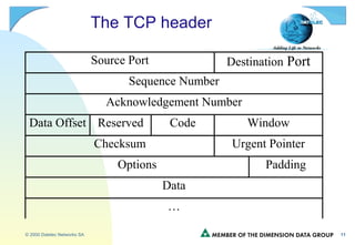 The TCP header 
