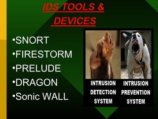 •SNORT
•FIRESTORM
•PRELUDE
•DRAGON
•Sonic WALL
 