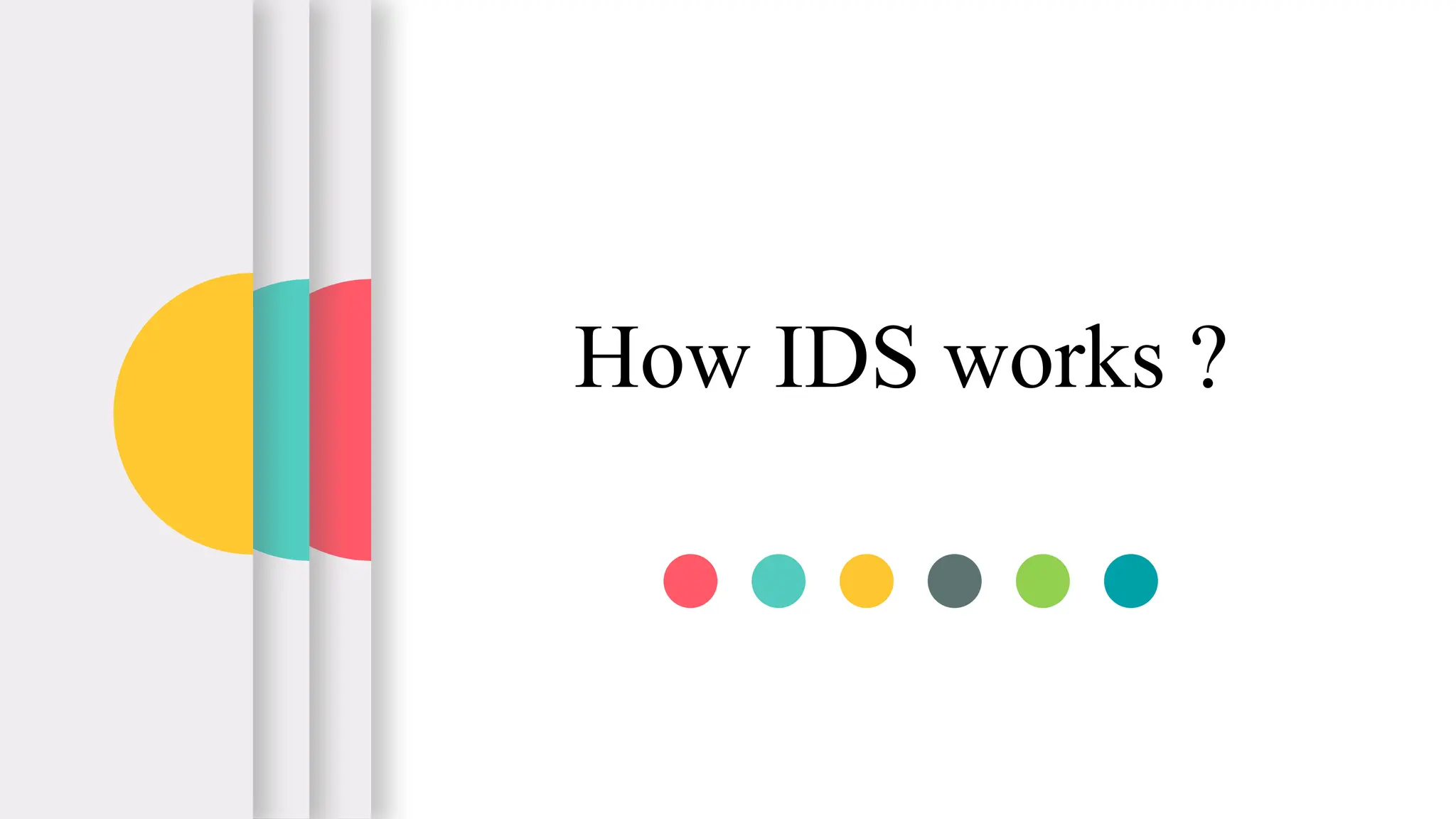 How IDS works ?
 
