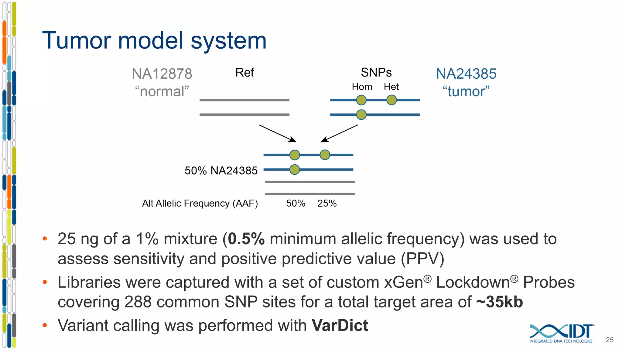 Tumor model system
• 25 ng of a 1% mixture (0.5% minimum allelic frequency) was used to
assess sensitivity and positive predictive value (PPV)
• Libraries were captured with a set of custom xGen® Lockdown® Probes
covering 288 common SNP sites for a total target area of ~35kb
• Variant calling was performed with VarDict
25
 