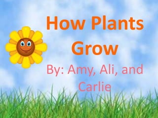 How Plants
  Grow
By: Amy, Ali, and
     Carlie
 
