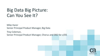 Big Data Big Picture:
Can You See It?
Mike Harer
Senior Principal Product Manager, Big Data
Troy Coleman,
Senior Principal Product Manager, Chorus and DB2 for z/OS
 