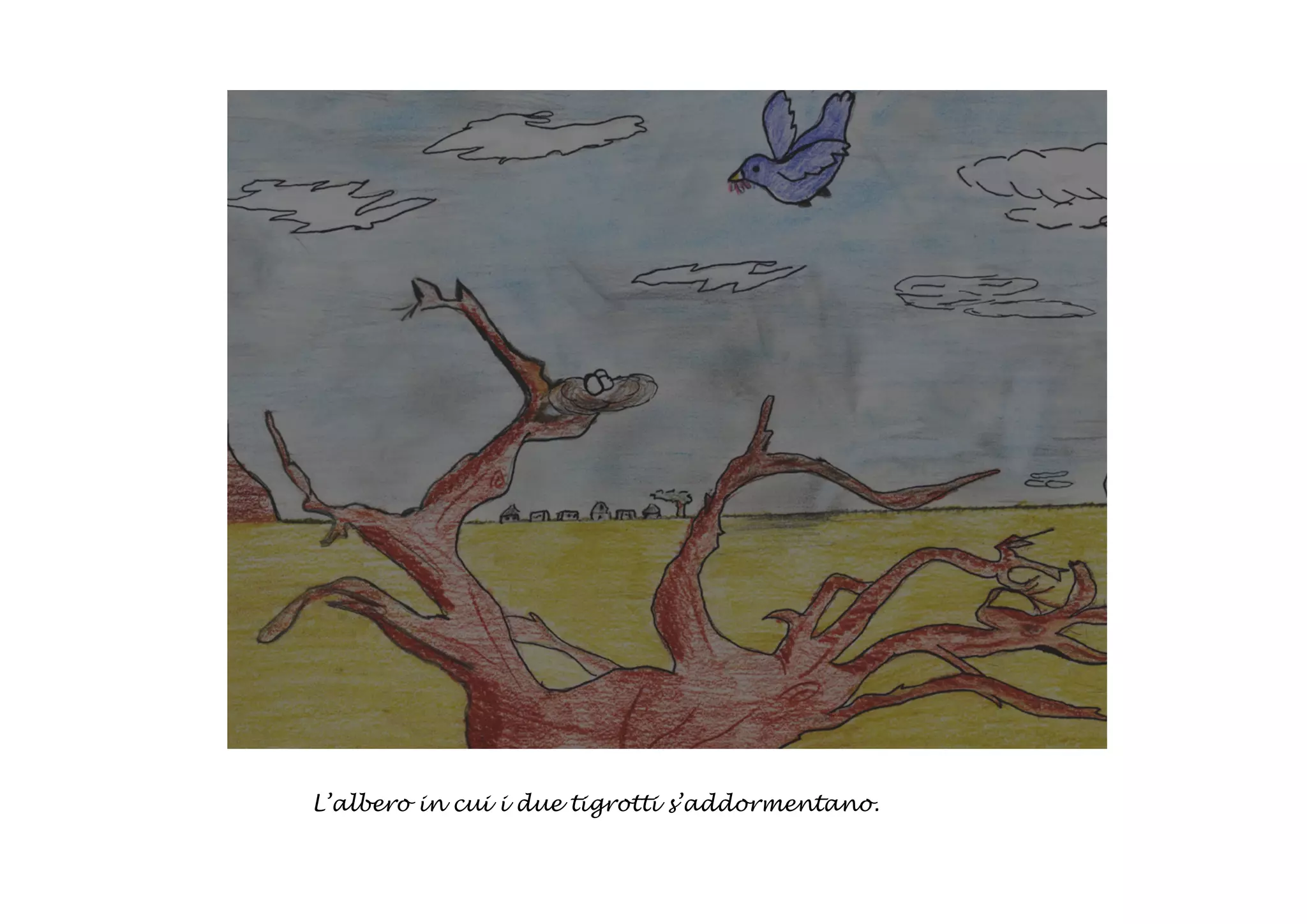 L’albero in cui i due tigrotti s’addormentano.
 