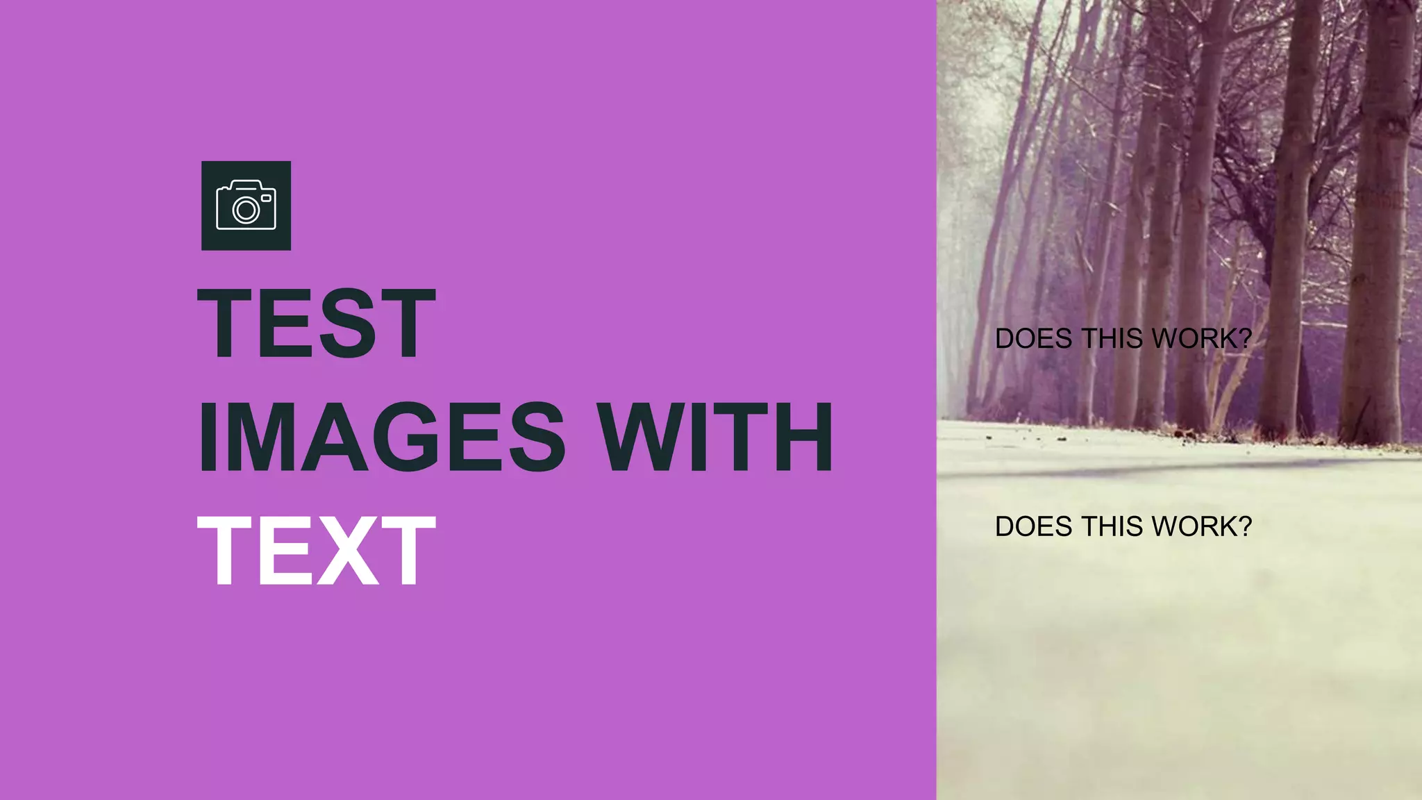 TEST
IMAGES WITH
TEXT
DOES THIS WORK?
DOES THIS WORK?
 