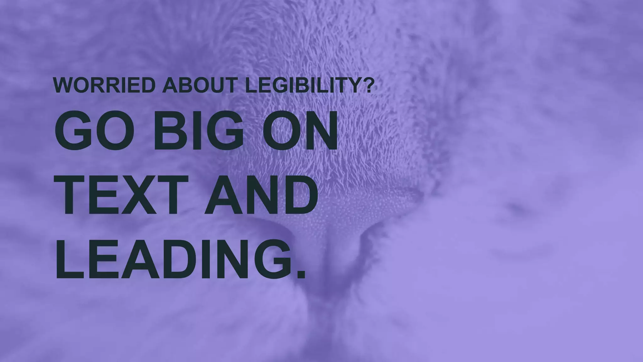 WORRIED ABOUT LEGIBILITY?
GO BIG ON
TEXT AND
LEADING.
 