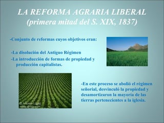 LA REFORMA AGRARIA LIBERAL (primera mitad del S. XIX, 1837) -Conjunto de reformas cuyos objetivos eran:  -La disolución del Antiguo Régimen -La introducción de formas de propiedad y producción capitalistas. -En este proceso se abolió el régimen señorial, desvinculó la propiedad y desamortizaron la mayoría de las tierras pertenecientes a la iglesia. 