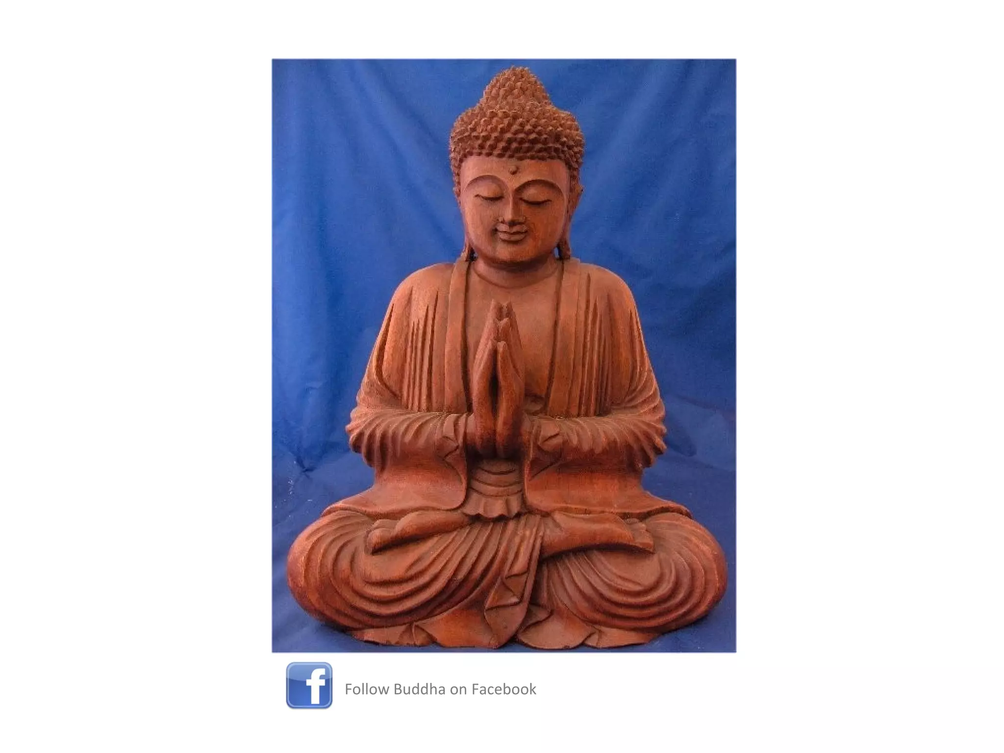 Follow Buddha on Facebook 