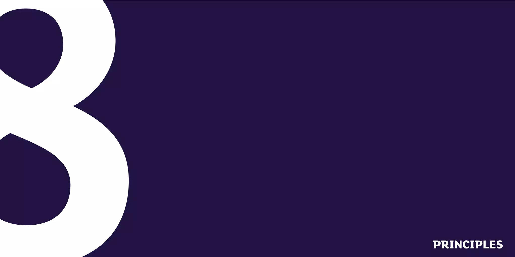 4   PRINCIPLES
             5
 