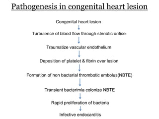 Pathogenesis in congenital heart lesion
Congenital heart lesion
Turbulence of blood flow through stenotic orifice
Traumatize vascular endothelium
Deposition of platelet & fibrin over lesion
Formation of non bacterial thrombotic embolus(NBTE)
Transient bacterimia colonize NBTE
Rapid proliferation of bacteria
Infective endocarditis
 