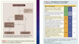 Infective endocarditis 