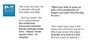 “We know, we know. He
is adorable. All small
and yellow and fluffy…
…Don't be fooled. Yes,
he is a great listener.
But inside that
innocuous adorable
blonde package exists
tons - indeed, whole
square miles - of
naughty. “
“Want your kids to grow up
with a full complement of
fingers and toes? Not the dog
for you.”
“He's super loyal, easy in the
house and a lot of fun but he's a
little rough around the edges.
Actually he's kind of a jerk.
But he's a jerk we believe in…”
 
