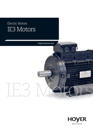 Electric motor 3DL 160M2-8