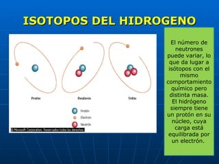 ISOTOPOS DEL HIDROGENO El número de neutrones puede variar, lo que da lugar a isótopos con el mismo comportamiento químico pero distinta masa. El hidrógeno siempre tiene un protón en su núcleo, cuya carga está equilibrada por un electrón.  