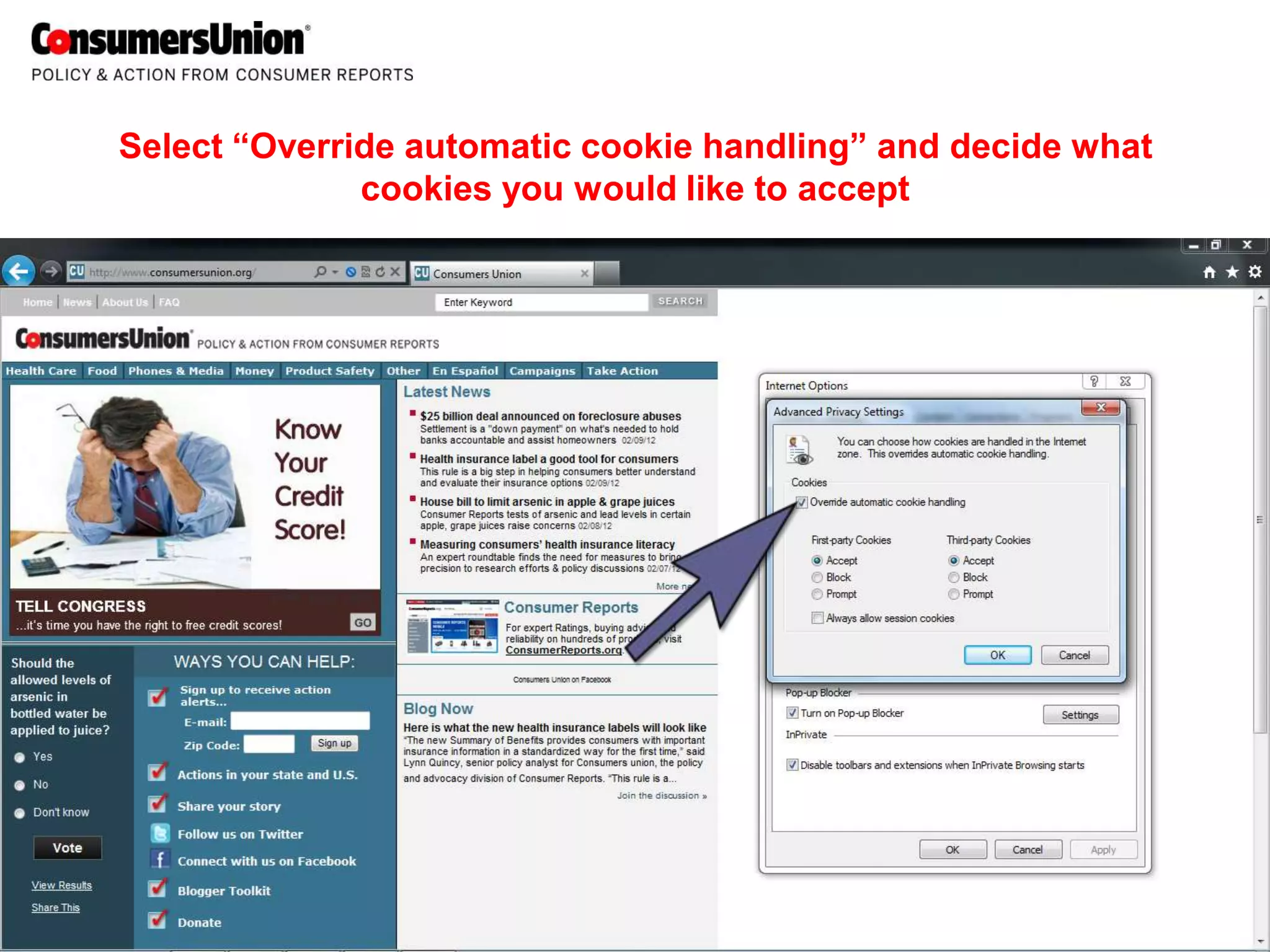 Select “Override automatic cookie handling” and decide what
              cookies you would like to accept
 