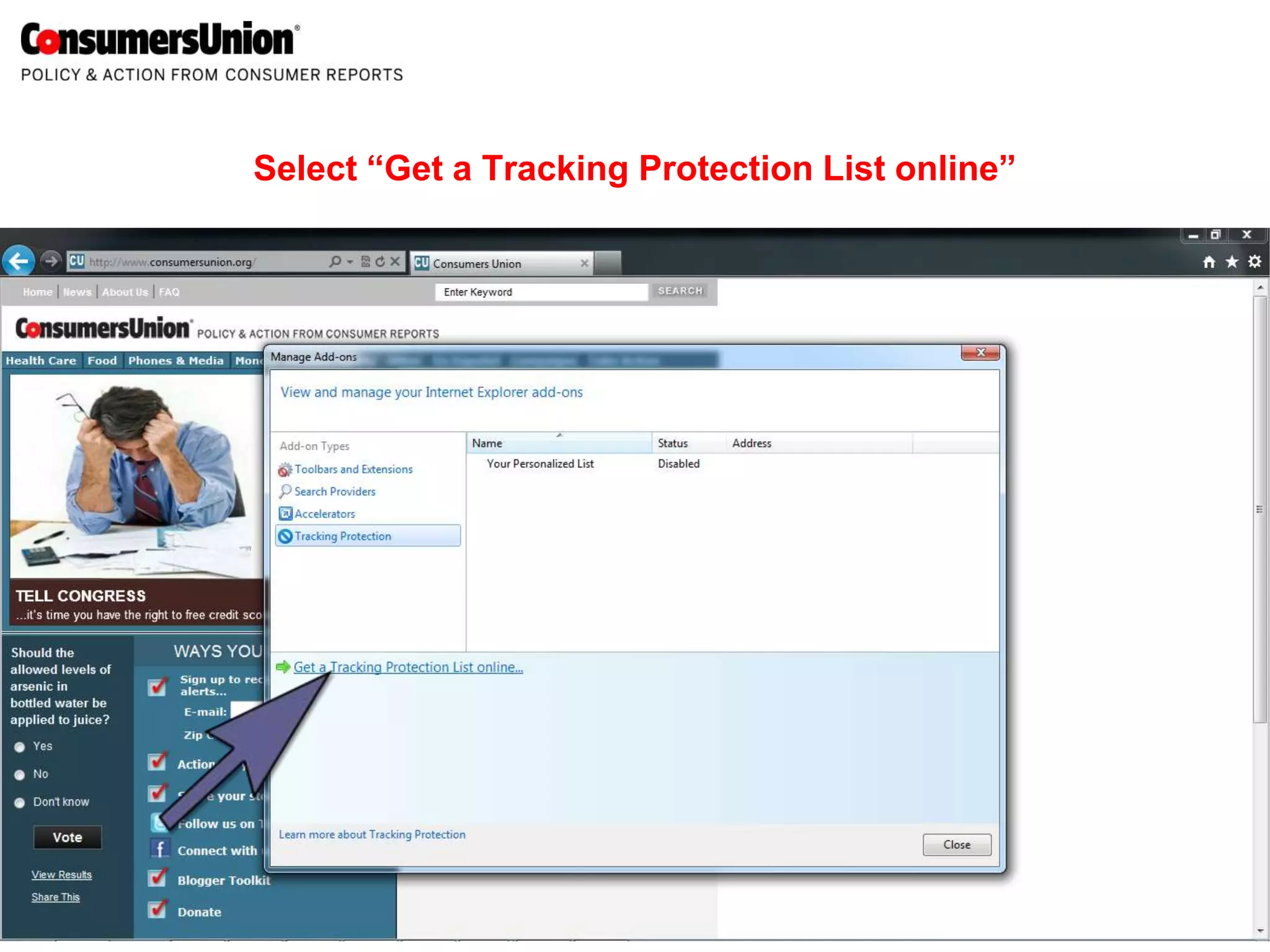Select “Get a Tracking Protection List online”
 