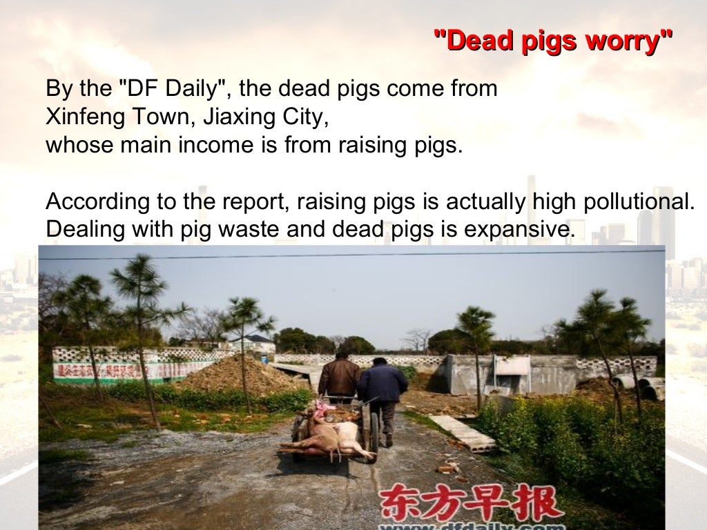 Ie international image