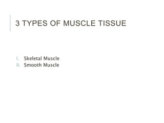 3 TYPES OF MUSCLE TISSUE
I. Skeletal Muscle
II. Smooth Muscle
 
