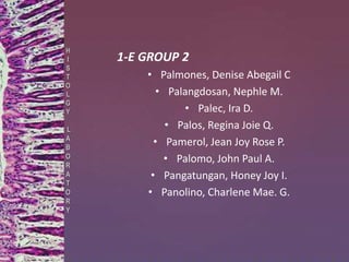 1-E GROUP 2
• Palmones, Denise Abegail C
• Palangdosan, Nephle M.
• Palec, Ira D.
• Palos, Regina Joie Q.
• Pamerol, Jean Joy Rose P.
• Palomo, John Paul A.
• Pangatungan, Honey Joy I.
• Panolino, Charlene Mae. G.
H
I
S
T
O
L
G
Y
L
A
B
O
R
A
T
O
R
Y
 
