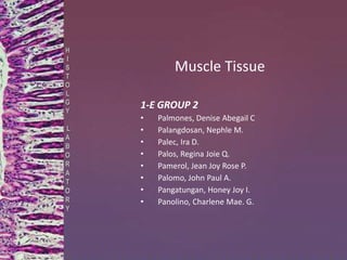 Muscle Tissue
1-E GROUP 2
• Palmones, Denise Abegail C
• Palangdosan, Nephle M.
• Palec, Ira D.
• Palos, Regina Joie Q.
• Pamerol, Jean Joy Rose P.
• Palomo, John Paul A.
• Pangatungan, Honey Joy I.
• Panolino, Charlene Mae. G.
H
I
S
T
O
L
G
Y
L
A
B
O
R
A
T
O
R
Y
 