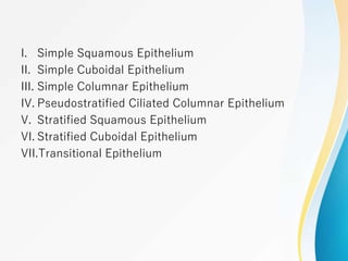 I. Simple Squamous Epithelium
II. Simple Cuboidal Epithelium
III. Simple Columnar Epithelium
IV. Pseudostratified Ciliated Columnar Epithelium
V. Stratified Squamous Epithelium
VI. Stratified Cuboidal Epithelium
VII.Transitional Epithelium
 
