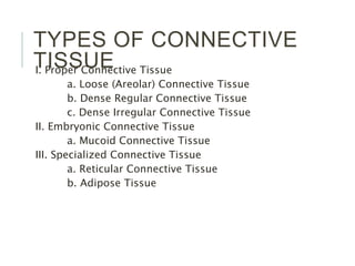 TYPES OF CONNECTIVE
TISSUEI. Proper Connective Tissue
a. Loose (Areolar) Connective Tissue
b. Dense Regular Connective Tissue
c. Dense Irregular Connective Tissue
II. Embryonic Connective Tissue
a. Mucoid Connective Tissue
III. Specialized Connective Tissue
a. Reticular Connective Tissue
b. Adipose Tissue
 