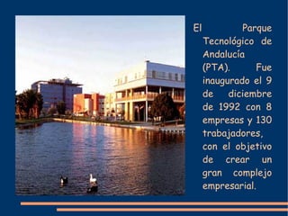 POBLACIÓN MÁLAGA, ANDALUCÍA Y ESPAÑA Población Total: 