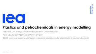IEA 2019. All rights reserved.
Plastics and petrochemicals in energy modelling
Peter Levi, Energy Technology Policy Division
Tae-Yoon Kim, Energy Supply and Investment Outlook Division
OECD technical expert workshop on modelling approaches for plastics use projections (remote)
 