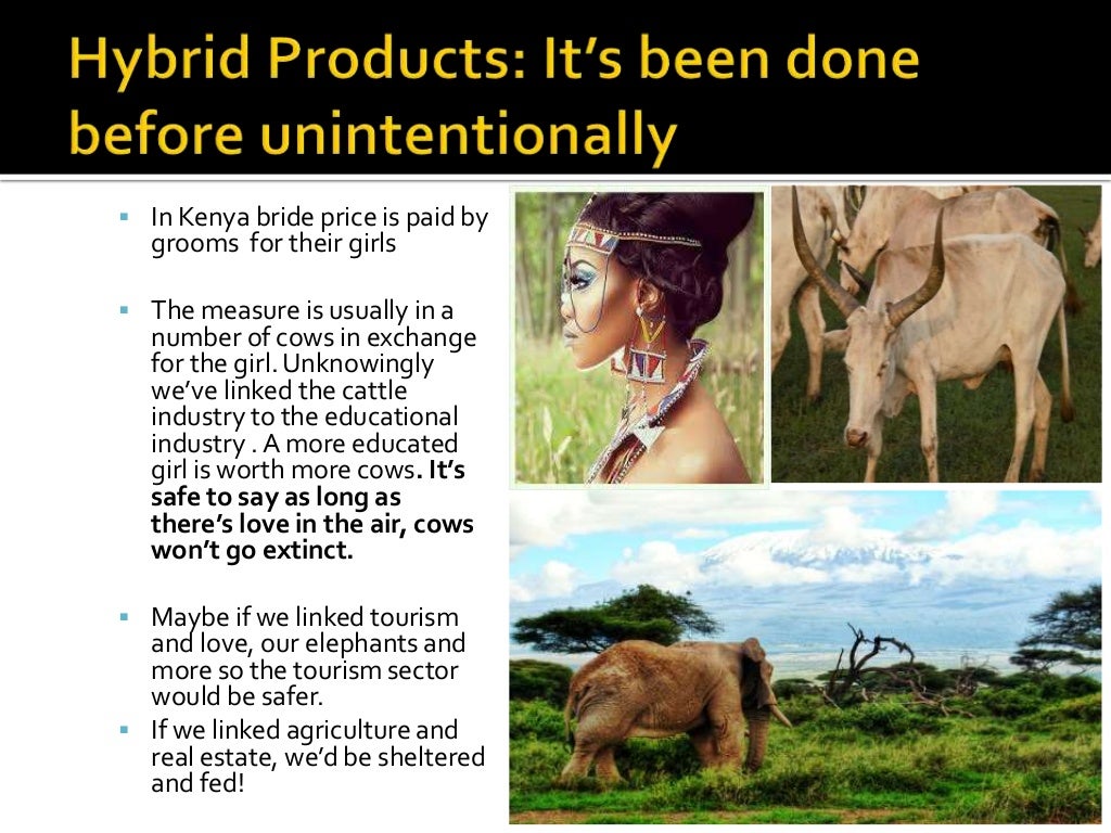 Ie admission essay image