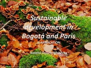 Sustainable
development in
Bogotá and Paris
IE APPLICATION
Natalia Orjuela Mahecha

PHOTOGRAPHY: Fôret de Fontainebleau(author's picture)

 