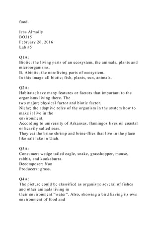 food.
Ieas Almoily
BO315
February 26, 2016
Lab #5
Q1A:
Biotic; the living parts of an ecosystem, the animals, plants and
microorganisms.
B. Abiotic; the non-living parts of ecosystem.
In this image all biotic; fish, plants, sun, animals.
Q2A:
Habitats; have many features or factors that important to the
organisms living there. The
two major; physical factor and biotic factor.
Niche; the adaptive roles of the organism in the system how to
make it live in the
environment.
According to university of Arkansas, flamingos lives on coastal
or heavily salted seas.
They eat the brine shrimp and brine-flies that live in the place
like salt lake in Utah.
Q3A:
Consumer: wedge tailed eagle, snake, grasshopper, mouse,
rabbit, and kookaburra.
Decomposer: Non
Producers: grass.
Q4A:
The picture could be classified as organism: several of fishes
and other animals living in
their environment “water”. Also, showing a bird having its own
environment of food and
 