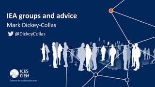 IEA groups and advice
Mark Dickey-Collas
@DickeyCollas
 