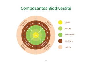 Composantes Biodiversité
12
 