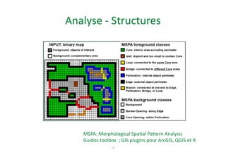 Analyse - Structures
18
MSPA: Morphological Spatial Pattern Analysis
Guidos toolbox ; GIS plugins pour ArcGIS, QGIS et R
 